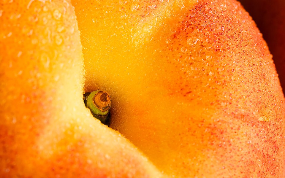 MSwanson Fresh Peach Macro Closeup Photography Fruit 01