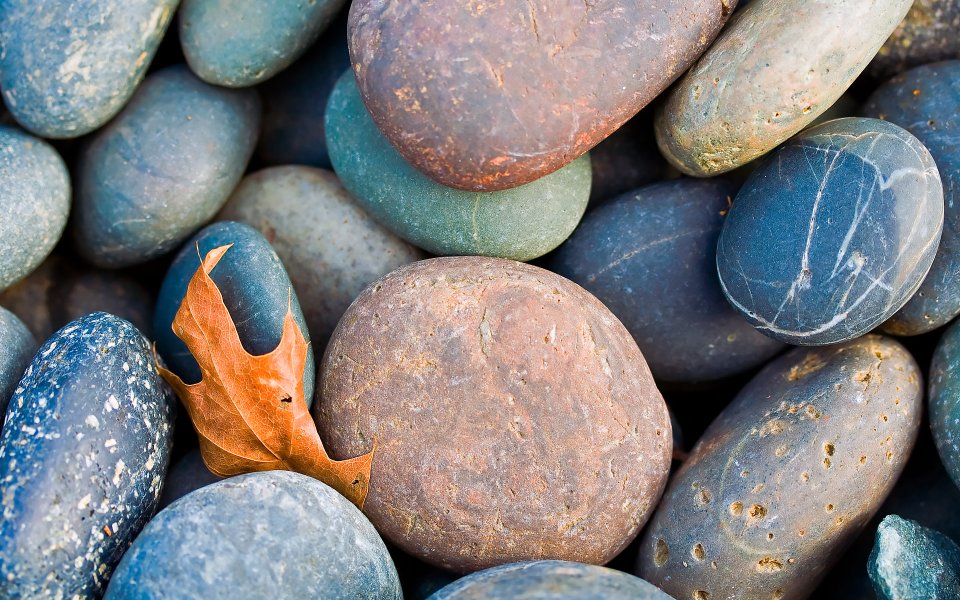 MSwanson Rock Series 02 Pebbles Macro Photography