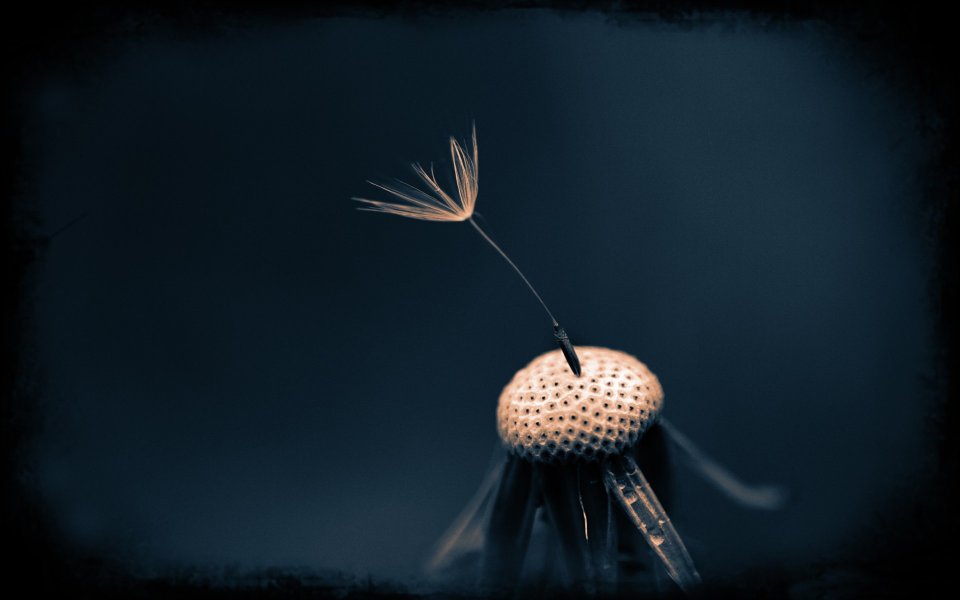 Moody Landscapes: Atmospheric Photography Collection