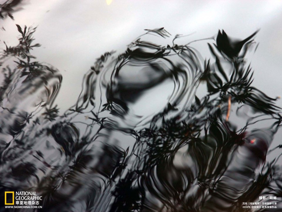 2010 National Geographic Water Ripple Abstract Reflection Photo