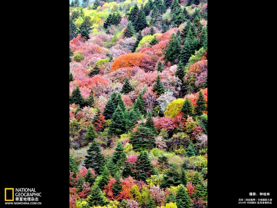 Colorful Autumn Mountain Forest China National Geographic Photo