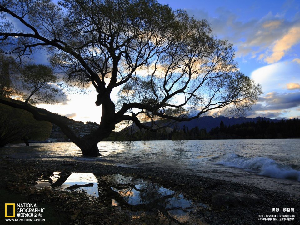 New Zealand Wanaka Lake Lone Tree Dusk Silhouette Landscape