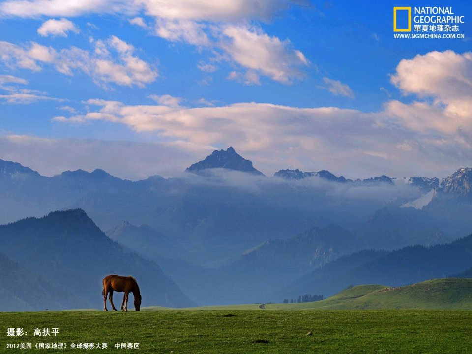 中国高山草甸骏马远眺雪山 国家地理获奖风光摄影作品