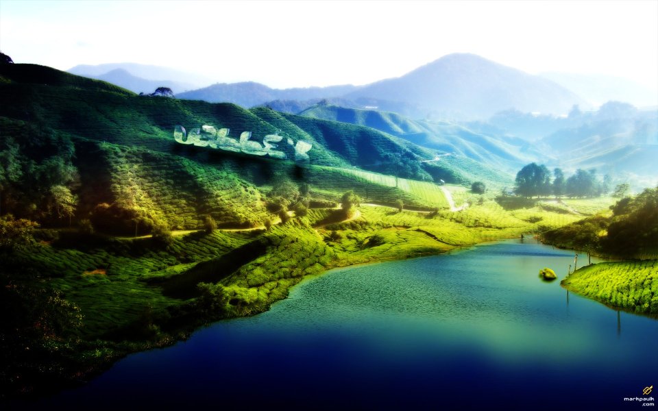 晨雾绿意山谷茶园湖泊超现实风光