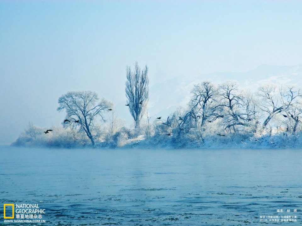 中国冬日寒江雾凇飞鸟绝美雪景