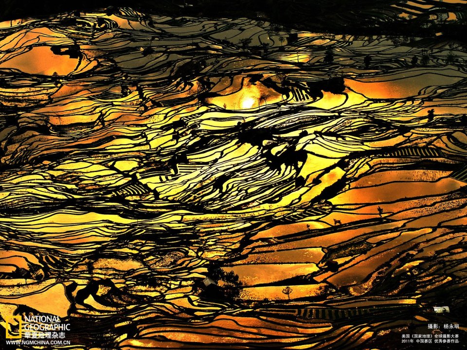 云南元阳梯田日落金色光影大地景观