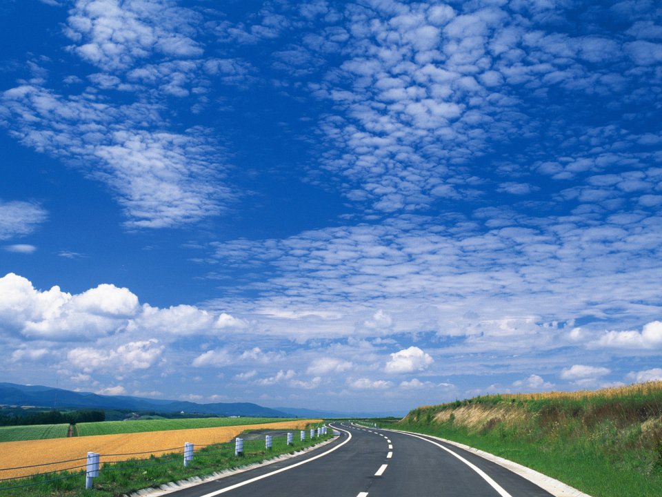 日本北海道乡间公路夏日田园风光