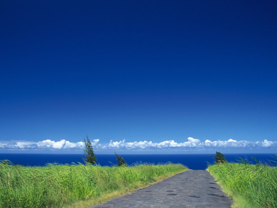 晴空下通往蔚蓝大海的郊野公路风景