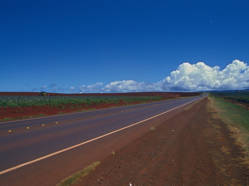 Hawaii Rural Red Soil Road Pineapple Plantation Landscape