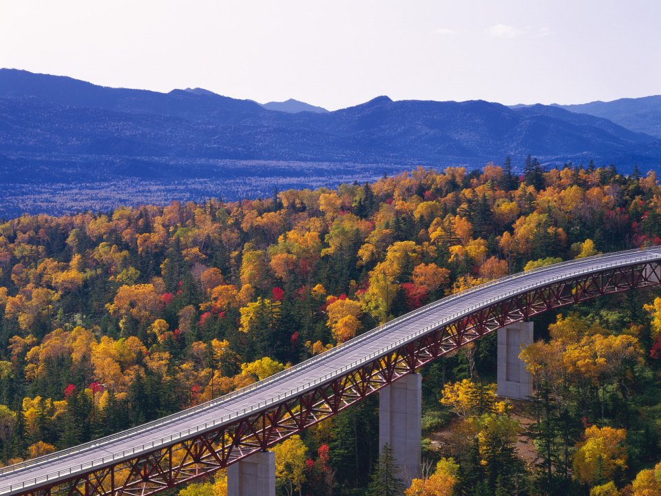 Japan Hokkaido Autumn Colorful Forest Viaduct Mountain Scenery