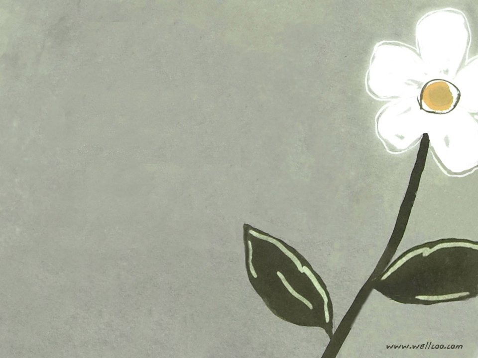 Minimalist Hand Drawn White Daisy Illustration