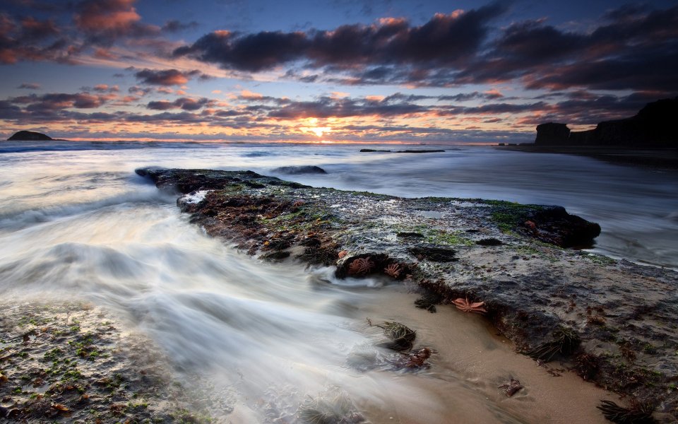 Sunset At Maori Bay Auckland New Zealand Coastal Landscape