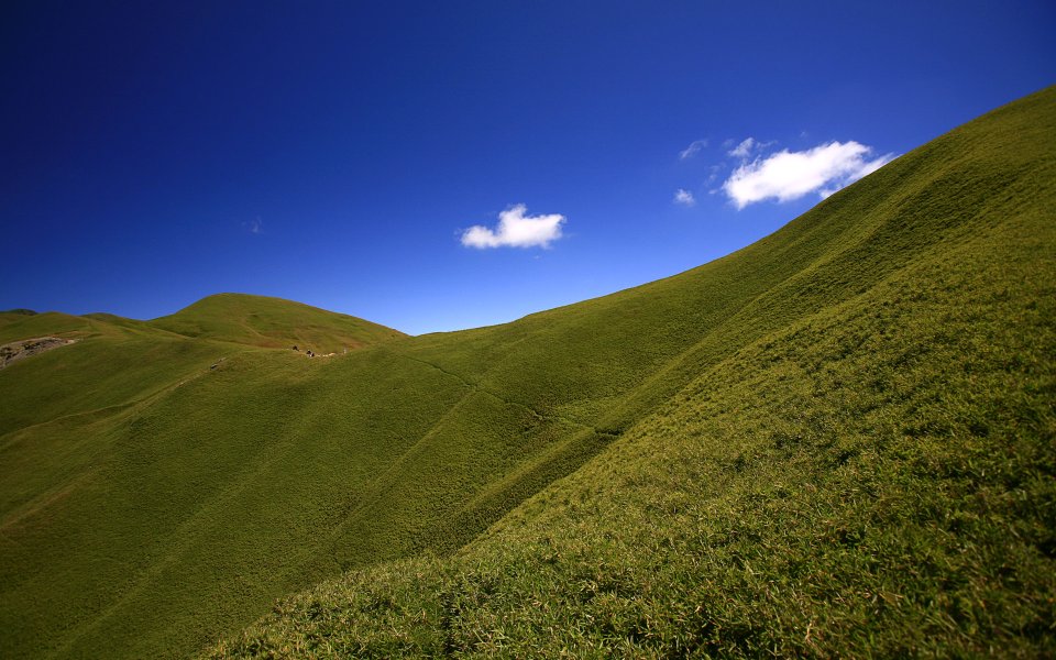 Taiwan Neng Gao Mountain Alpine Meadow Sunny Scenery