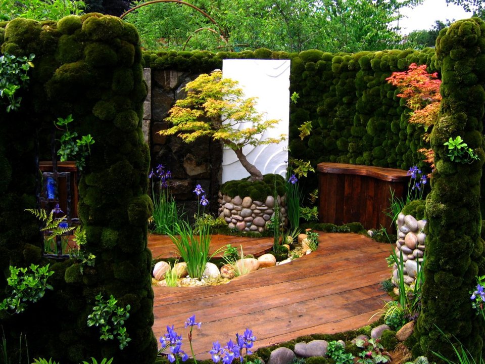 2007年切尔西花展日本苔藓庭院景观
