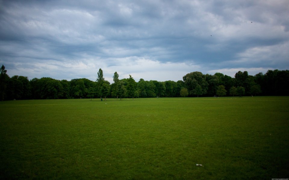 Overcast Day Suburban Park Wide Lawn Scenery