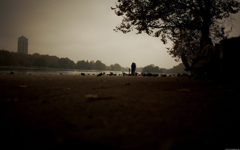 Foggy Overcast City Park Lakeside Autumn Scenery