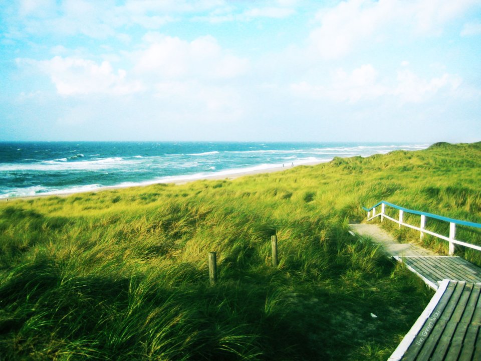 滨海绿道海岸沙丘夏日海景风光