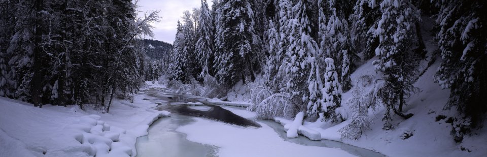 冬季积雪针叶林河谷半冻溪流全景雪景