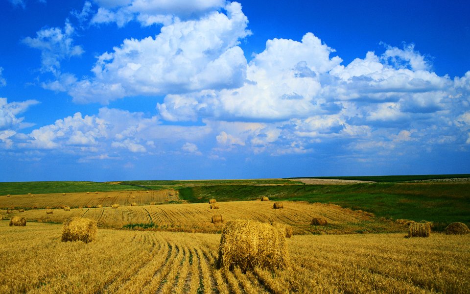 夏日晴空丰收麦田干草垛田园风光