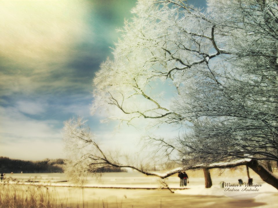 冬日私语 雾凇湖畔雪景
