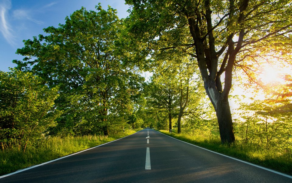 新西兰夏日林荫公路日落自然风光