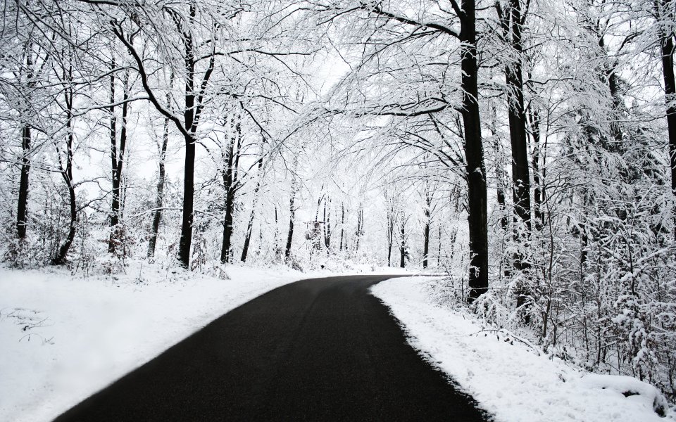 新西兰冬季雪后林间公路雪景