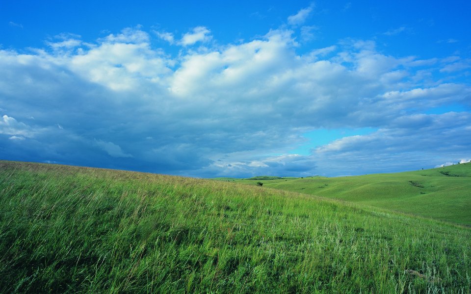 Summer Vast Grassland Blue Sky White Clouds Nature Wallpaper