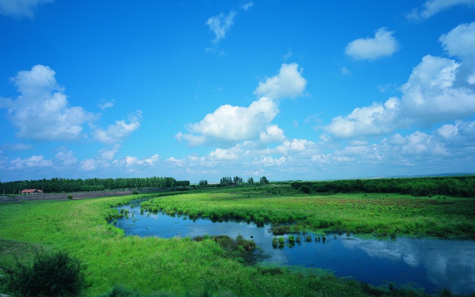 Vast Summer Grassland Wetland Stream Blue Sky Landscape