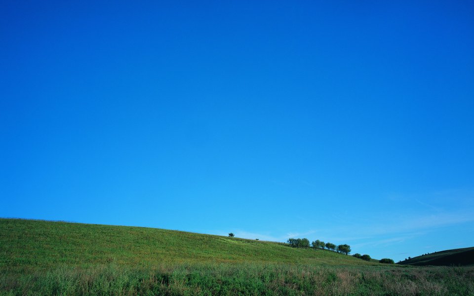 Vast Summer Grassland Clear Blue Sky Natural Scenery