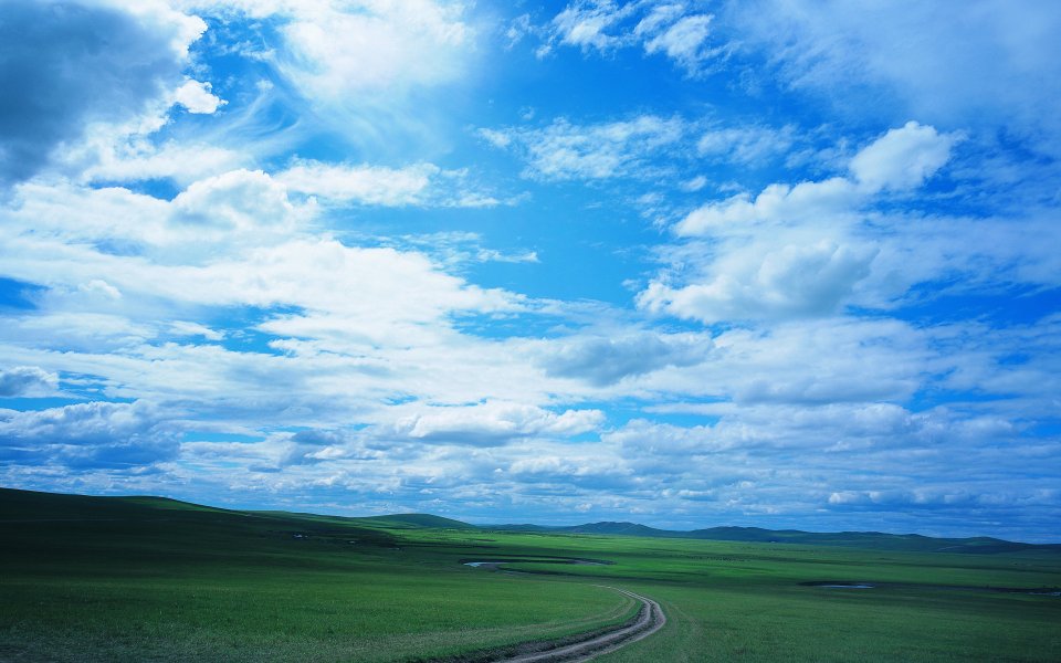 Vast Summer Grassland Blue Sky White Clouds Landscape