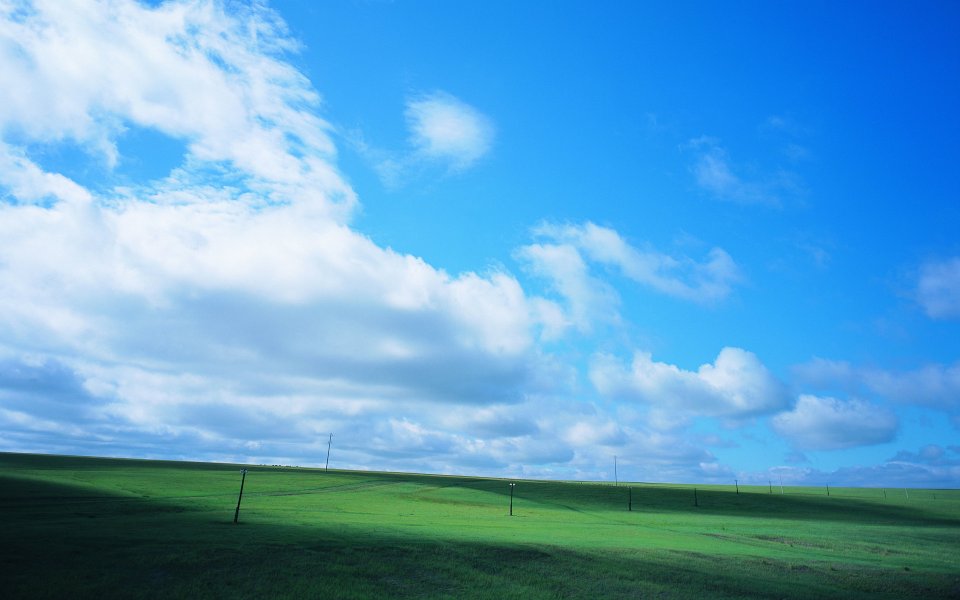Vast Summer Grassland Blue Sky White Clouds Scenery