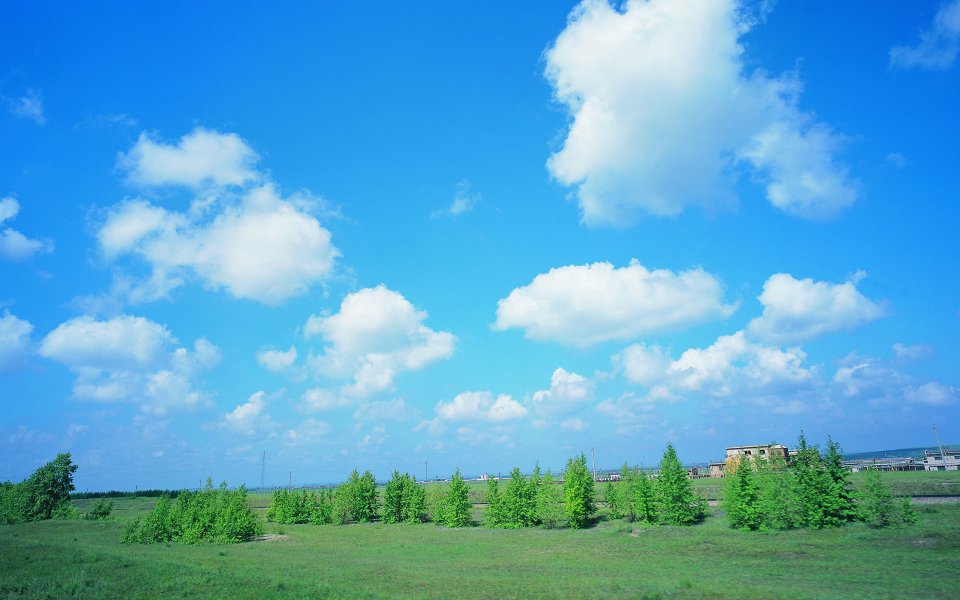 Vast Summer Grassland Blue Sky White Clouds Landscape