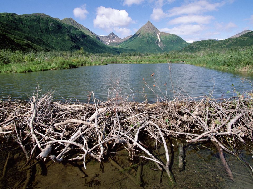 阿拉斯加高山湖泊荒野自然风光