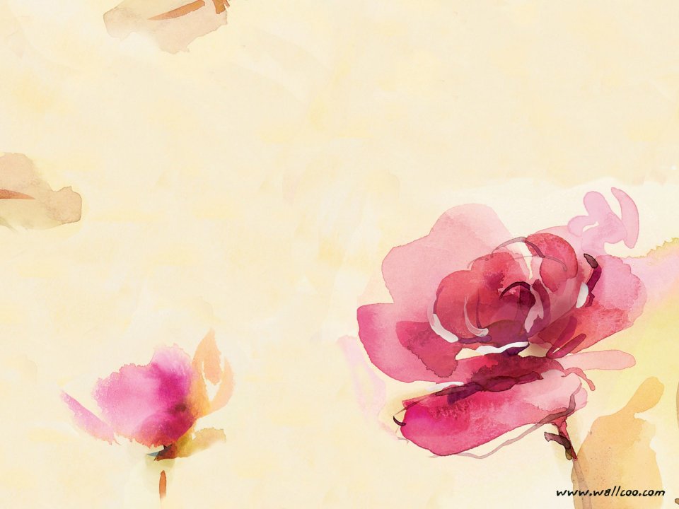 Fresh Watercolor Rose Floral Illustration