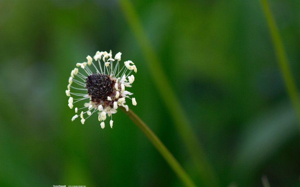 Photography Snapshots Vol. 9: Natural Landscapes