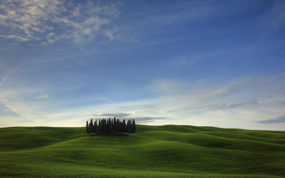 Italy Tuscany Rural Meadow Cypress Trees Landscape