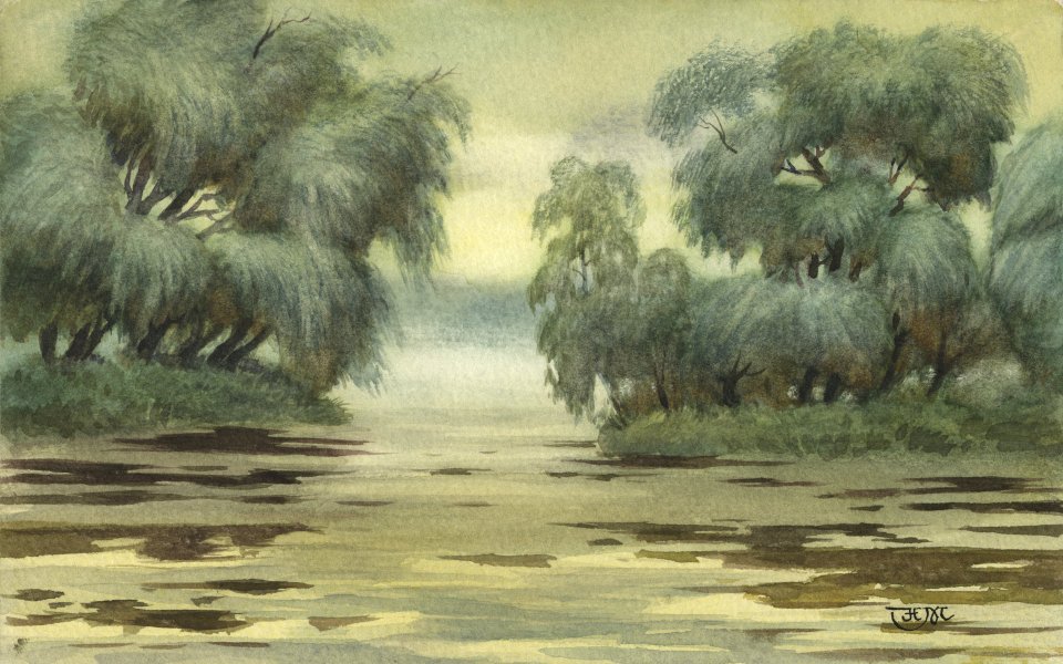 水彩画风格柳树池塘风景
