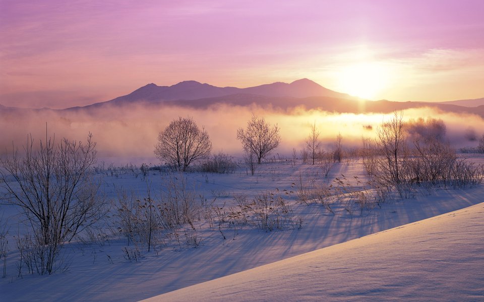 Northeast China Winter Snowfield Sunrise Mist Landscape Wallpaper
