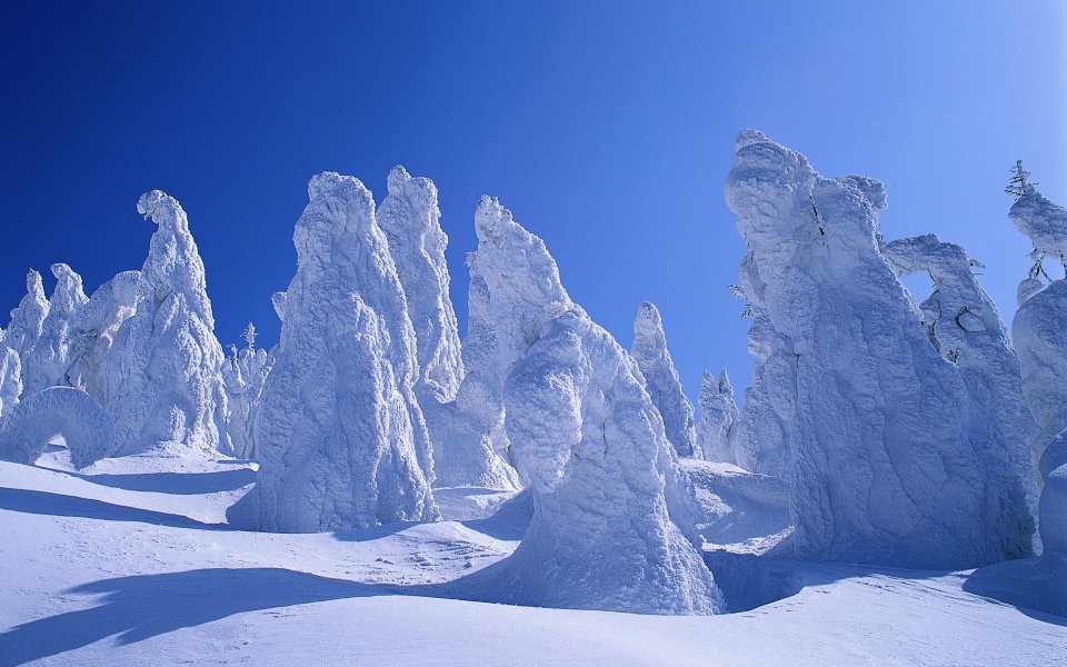 日本冬日晴空下的树冰雪原自然奇观