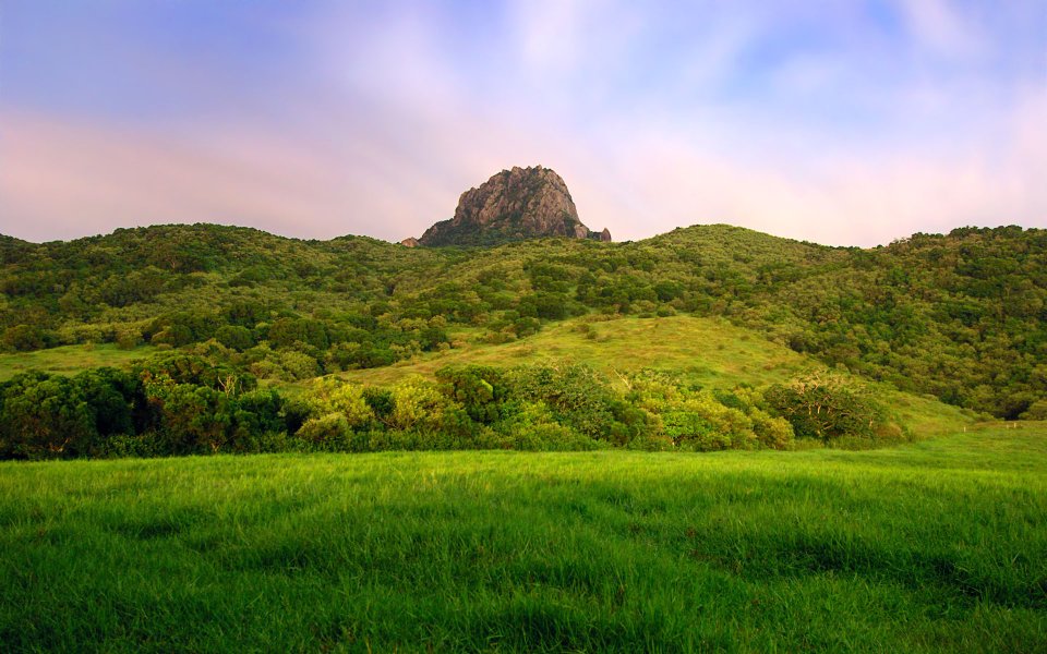 Dawn Green Meadow Forest Rocky Peak Natural Wallpaper
