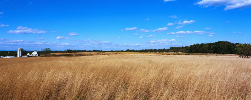 North America Rural Autumn Golden Meadow Farm Panorama