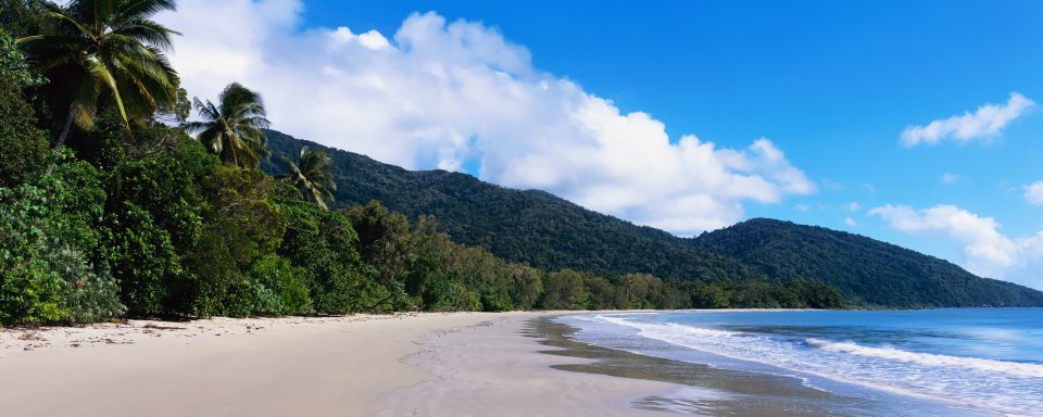 澳大利亚热带椰林海滩自然风光全景