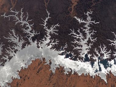卫星航拍地球荒漠树枝状水系奇观