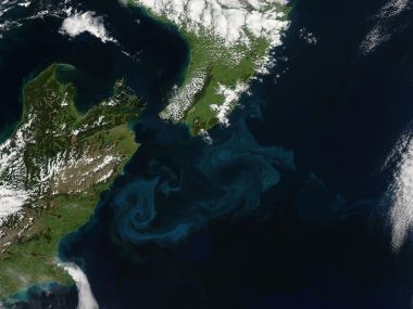 新西兰南北岛卫星航拍 海洋旋流自然景观