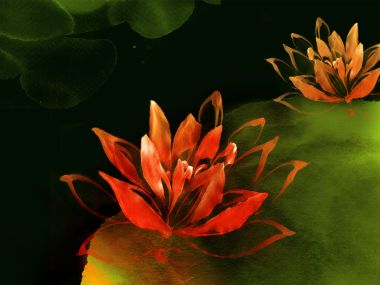 水墨风格橙色荷花艺术插画