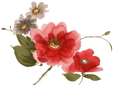 水彩风格红牡丹花卉艺术插画