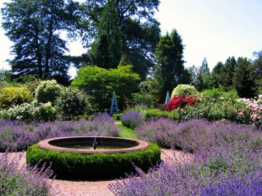 英国萨塞克斯博德山花园夏日园林景观