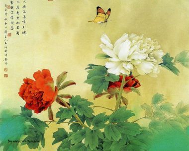 邹传安工笔牡丹彩蝶国画