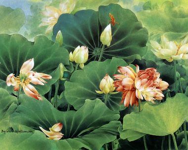 邹传安 工笔国画荷塘荷花蜻蜓图