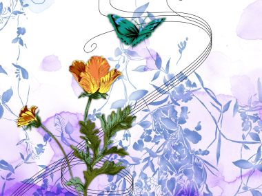 Watercolor Flower Butterfly Elegant Decorative Illustration